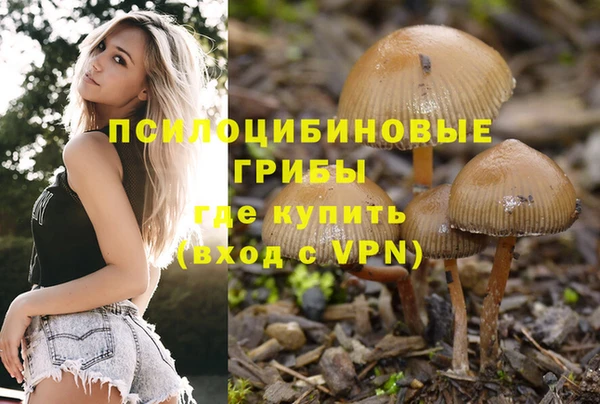 2c-b Лабытнанги