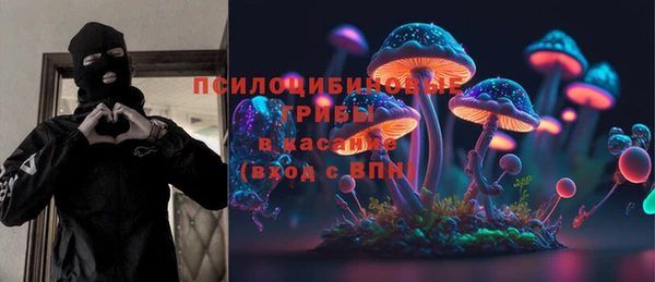 дмт Лагань