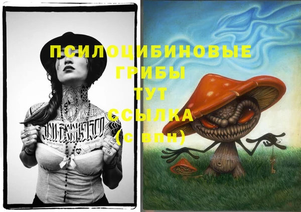 дмт Лагань