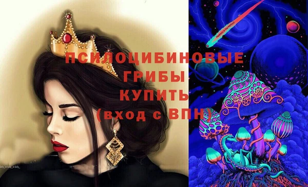 2c-b Лабытнанги