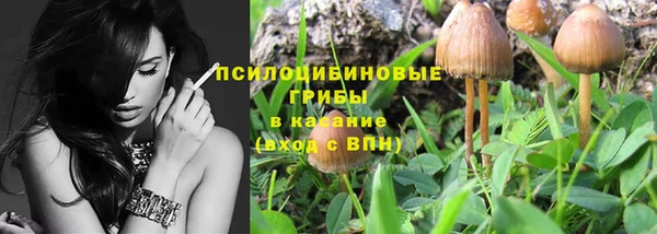 2c-b Лабытнанги