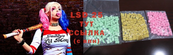 дмт Лагань